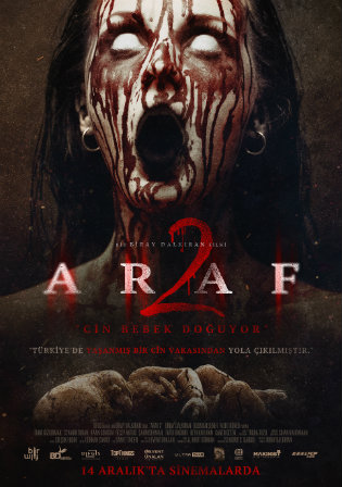 Araf 2 (2020) Dual Audio [Hindi-Turki] 720p | 480p HDRip 800MB – 300MB