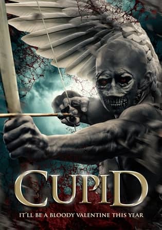 Cupid (2020) 720p | 480p BluRay Dual Audio [Hindi-English] 800MB | 300MB